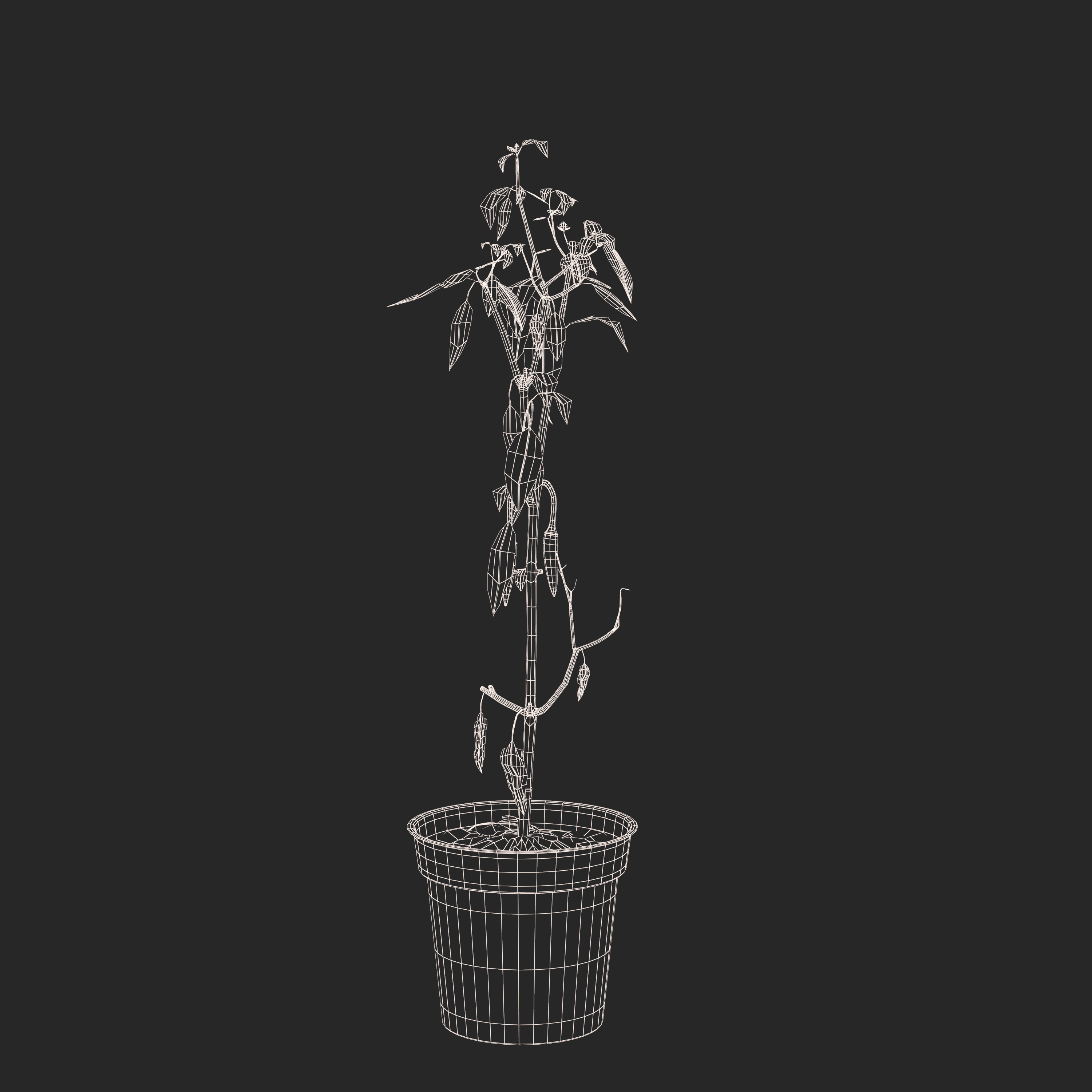 Plant_wire_full_js